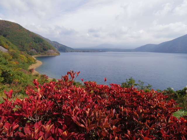 f0300637_23033538.jpg
