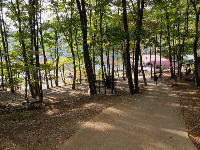 f0300637_23043579.jpg