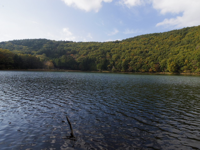 f0300637_23050581.jpg