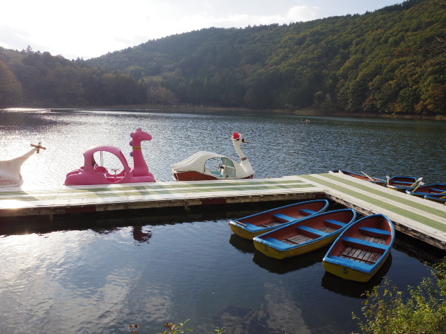 f0300637_23065616.jpg