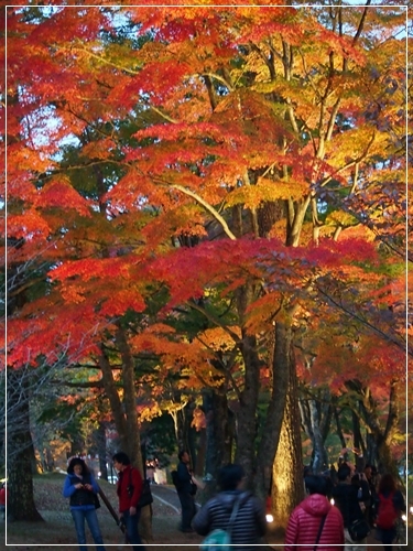 d0013149_00020137.jpg