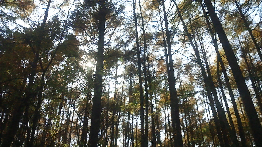 f0046250_10335893.jpg