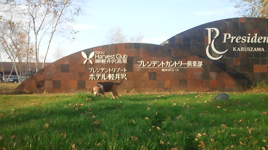 f0046250_12205810.jpg