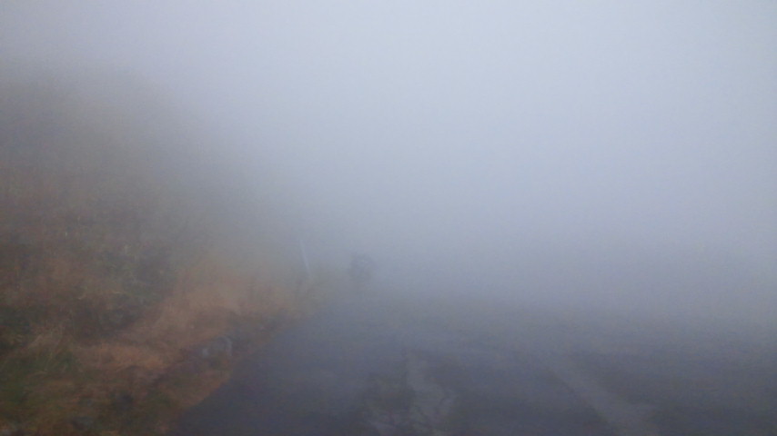 f0046250_7375894.jpg