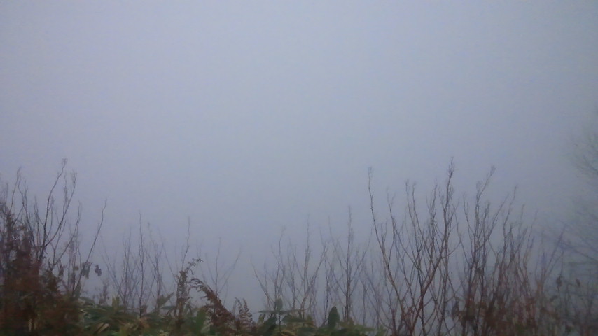 f0046250_7382149.jpg