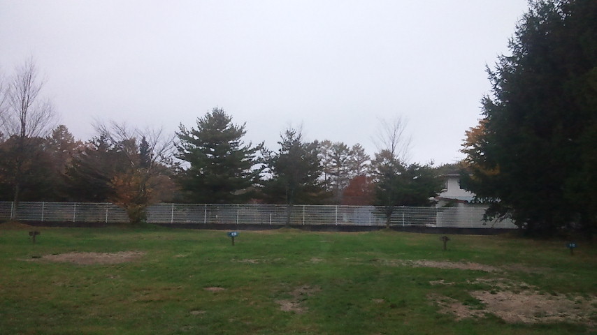 f0046250_805575.jpg
