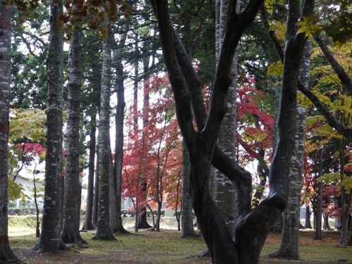 b0243152_1043813.jpg