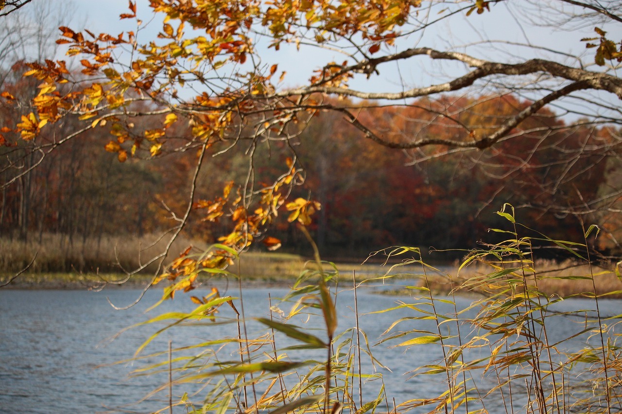 b0250154_20120346.jpg