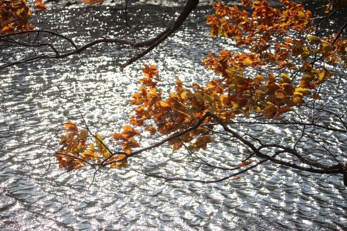 b0250154_20123154.jpg