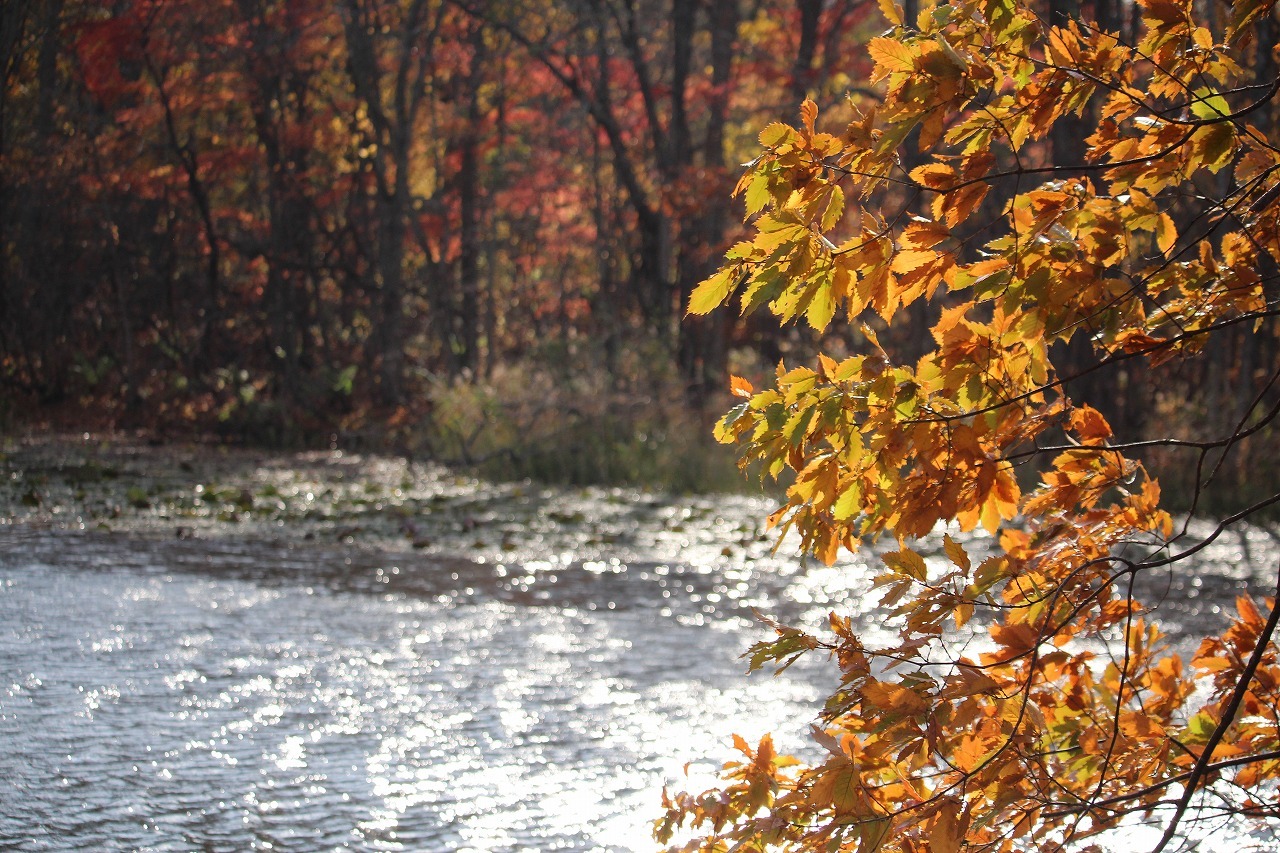 b0250154_20124280.jpg