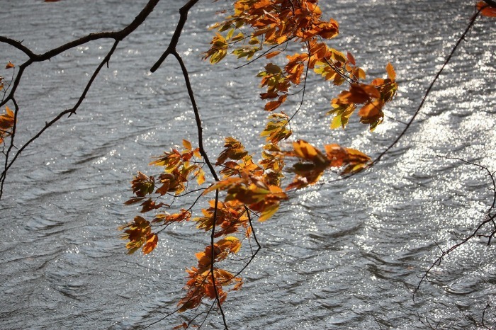 b0250154_20125548.jpg