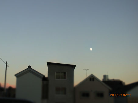 b0075364_22245350.jpg