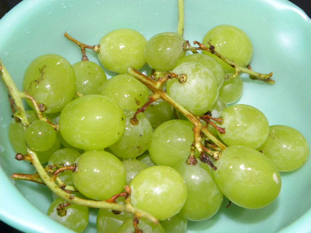 c0162773_11464573.jpg