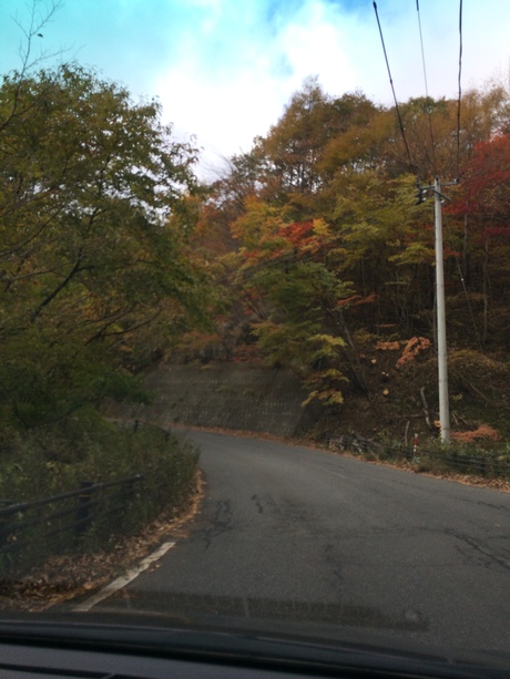 c0283778_1634784.jpg