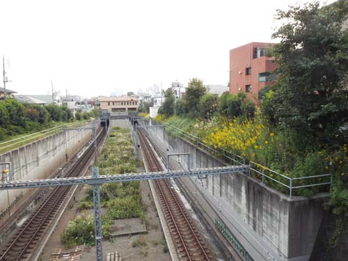 f0211178_2084552.jpg