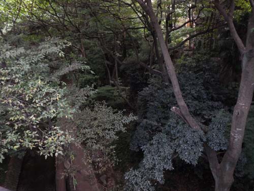 f0211178_2085185.jpg