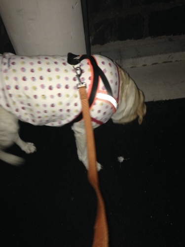 f0315081_21445055.jpeg