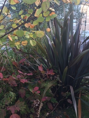 c0096287_16440325.jpeg