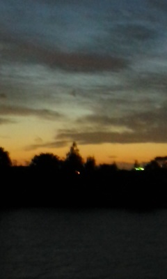 a0096091_012046.jpg