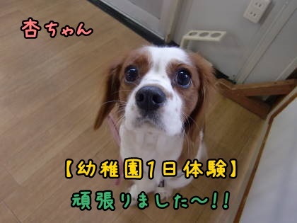 a0338800_00424632.jpg