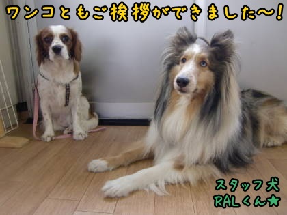 a0338800_00425044.jpg