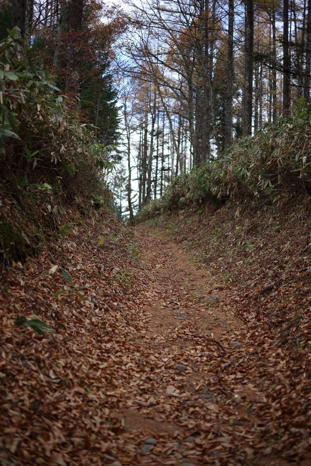 a0155104_20244517.jpg