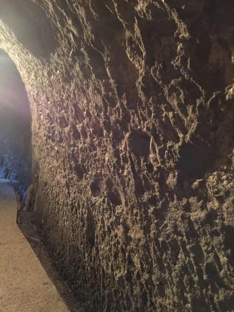 d0024504_18442237.jpg