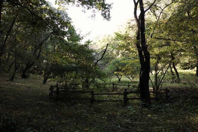 f0302208_20025785.jpg