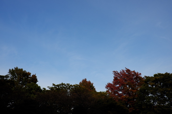 f0302208_20091821.jpg
