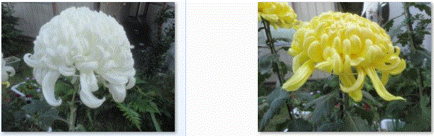 f0231709_1920533.gif
