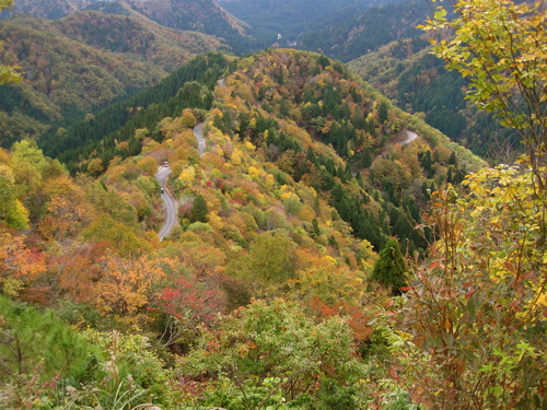 a0164011_21385399.jpg
