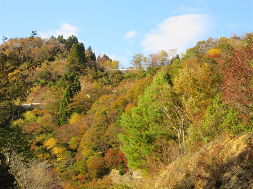 a0164011_2138573.jpg