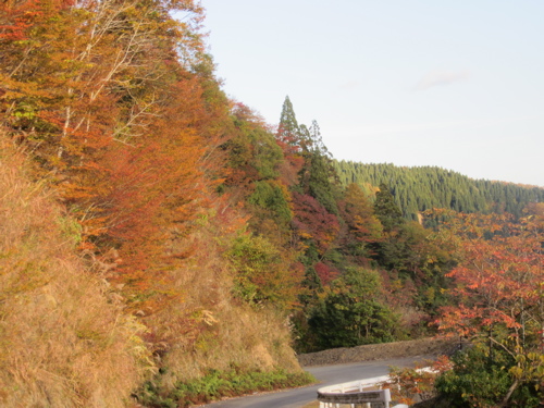 a0164011_2139576.jpg