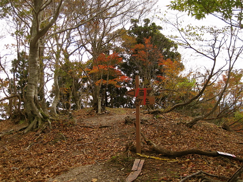 a0164011_2213898.jpg