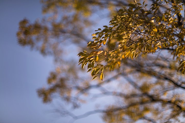 b0134829_0513187.jpg