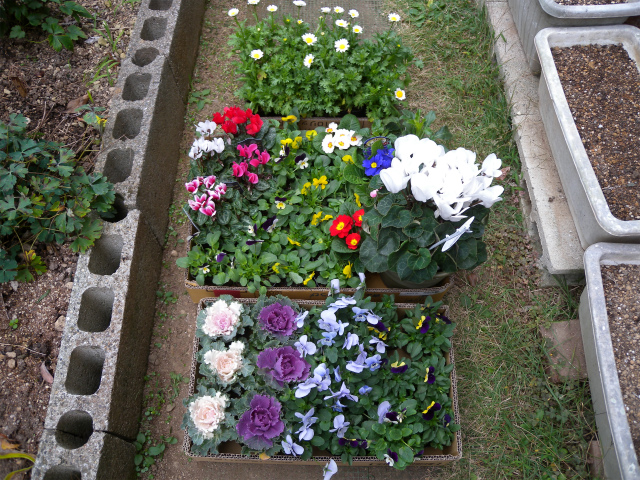 e0272335_19345974.jpg
