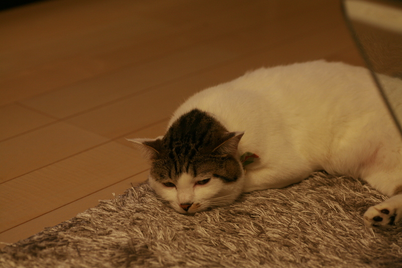 f0032042_21131175.jpg