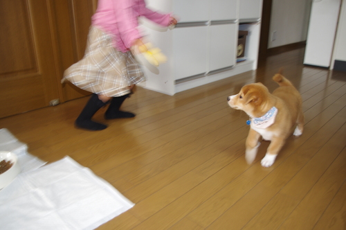 c0266644_22482940.jpg