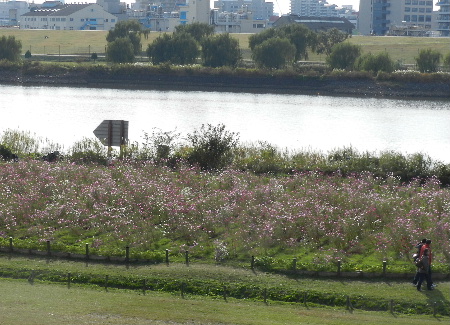 e0172950_20283917.jpg