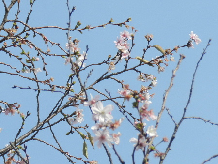 e0172950_2030640.jpg