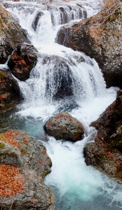 b0243152_23172134.jpg