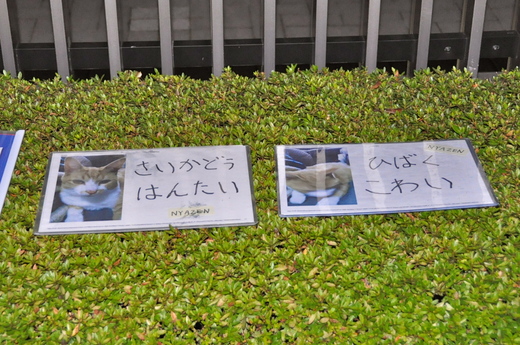 b0242956_1017107.jpg