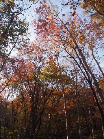 b0335256_21031300.jpg