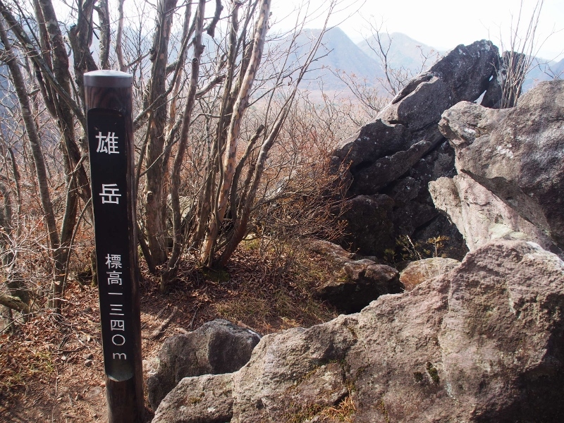 b0335256_21171349.jpg