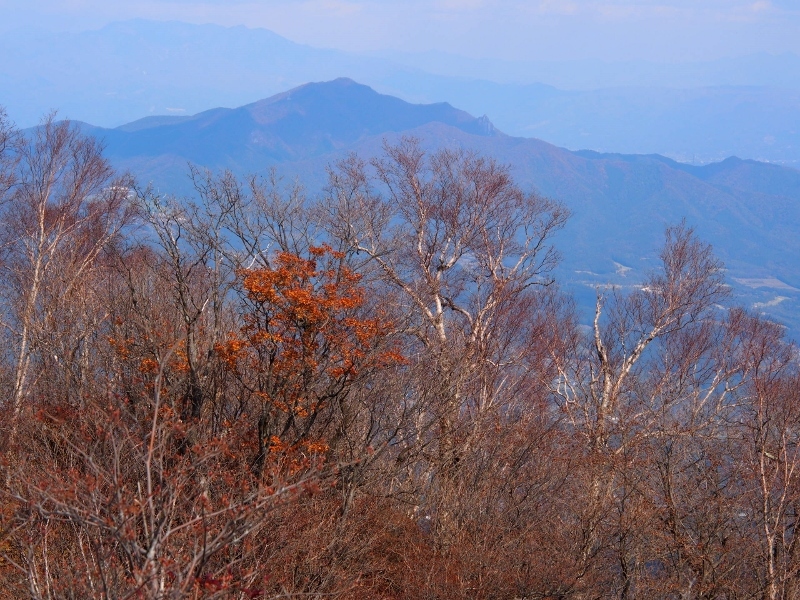 b0335256_21183831.jpg