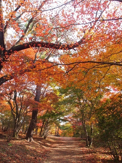 b0335256_21244548.jpg