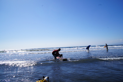 c0298565_65854100.jpg