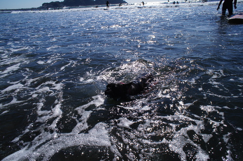 c0298565_659144.jpg