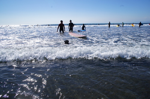 c0298565_659358.jpg