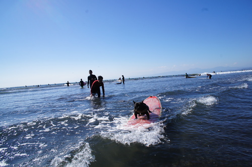 c0298565_714217.jpg